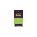 Cola Lime 10ml